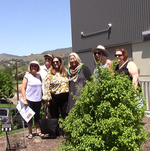 Six people stand together behind the Ginkgo tree